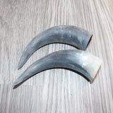 2 Small Unfinished Cow Horns #666    Natural Colored