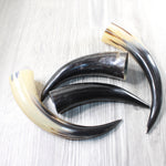 4 Polished Cow Horns #5758    Natural colored