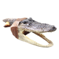 Alligator Head Handle Stone Blade Ornamental Knife #7858    Mountain Man Knife