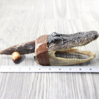 Alligator Head Handle Stone Blade Ornamental Knife #7858    Mountain Man Knife