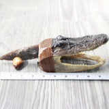 Alligator Head Handle Stone Blade Ornamental Knife #7858    Mountain Man Knife