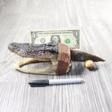 Alligator Head Handle Stone Blade Ornamental Knife #7858    Mountain Man Knife