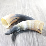 2 Raw Unfinished Cow Horns #3858     Natural Colored