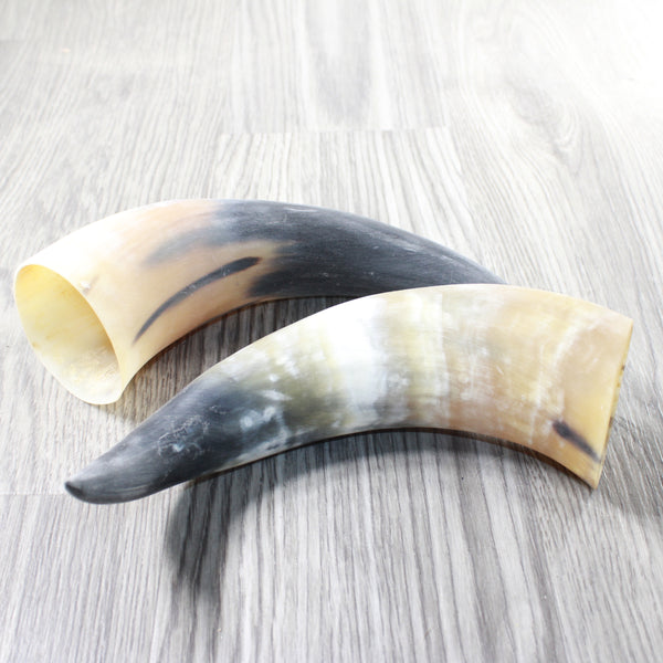 2 Raw Unfinished Cow Horns #3858     Natural Colored