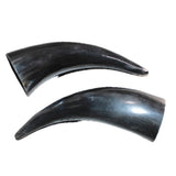 2 Small Polished Cow Horns #166    Natural colored