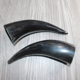 2 Small Polished Cow Horns #166    Natural colored