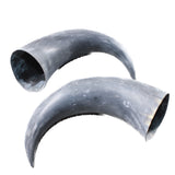 2 Raw Unfinished Cow Horns #1958     Natural Colored b