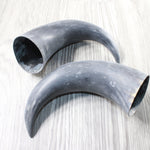 2 Raw Unfinished Cow Horns #1958     Natural Colored