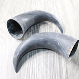 2 Raw Unfinished Cow Horns #1958     Natural Colored b