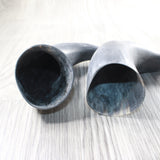 2 Raw Unfinished Cow Horns #1958     Natural Colored b