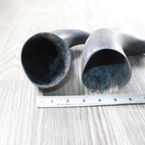 2 Raw Unfinished Cow Horns #1958     Natural Colored b