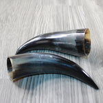 2 Small Polished Cow Horns #4848 Natural colored