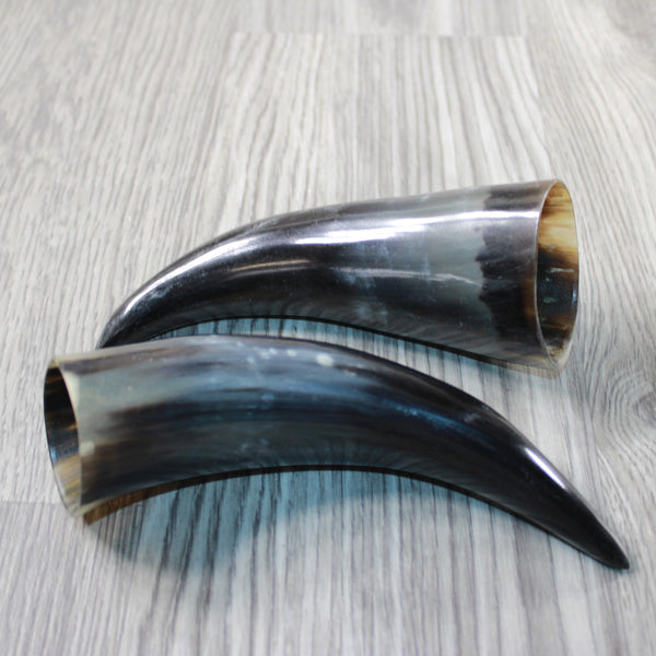 2 Small Polished Cow Horns #4848 Natural colored