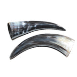 2 Small Polished Cow Horns #666    Natural colored