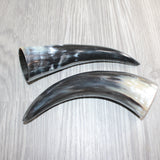 2 Small Polished Cow Horns #666    Natural colored