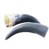 2 Raw Unfinished Cow Horns #2158     Natural Colored