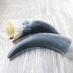 2 Raw Unfinished Cow Horns #2158     Natural Colored