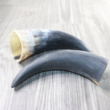 2 Raw Unfinished Cow Horns #2158     Natural Colored