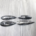 4 Large Orthoceras Fossils  #8158