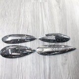 4 Large Orthoceras Fossils  #8158
