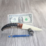 Springbok Horn Handle Bone Blade Ornamental Knife #34866    Mountain Man Knife