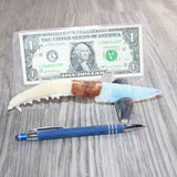 Red Fox Jaw Handle Opalite Blade Ornamental Knife #03166     Mountain Man Knife