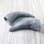 2 Small Raw Unfinished Cow Horns #7358    Natural Colored