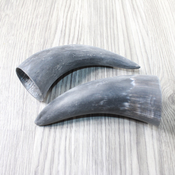 2 Small Raw Unfinished Cow Horns #7358    Natural Colored