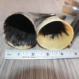 4 Small Polished Cow Horns #566    Natural colored