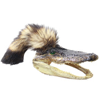 Alligator Head With Raccoon Tail Mohawk  #6358