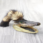 Alligator Head With Raccoon Tail Mohawk  #6358