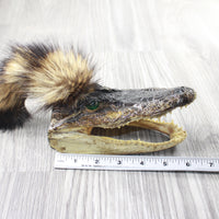 Alligator Head With Raccoon Tail Mohawk  #6358