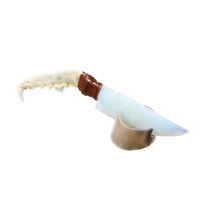 Coyote Jaw Handle Opalite Blade Ornamental Knife #0358     Mountain Man Knife