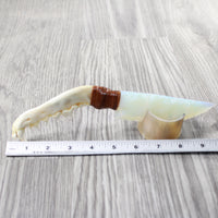 Coyote Jaw Handle Opalite Blade Ornamental Knife #0358     Mountain Man Knife