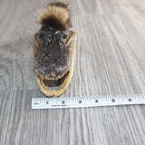 Alligator Head With Raccoon Tail Mohawk  #0467