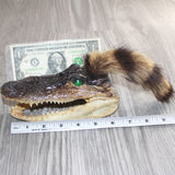 Alligator Head With Raccoon Tail Mohawk  #0467