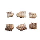 6 Very Small Rattlesnake Rattles  #1667   Taxidermy Diamondback Sidewinder