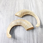 2 Sheep Horns  #9458       Natural Colored Polished Ram Horns