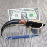 Springbok Horn Handle Obsidian  Blade Ornamental Knife #01667     Mountain Man Knife