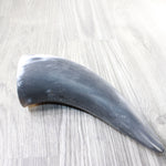 1 Raw Unfinished Cow Horn #2458   Natural Colored