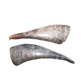 2 Small Polished Goat Horns #267      Natural Colored