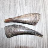 2 Small Polished Goat Horns #267      Natural Colored