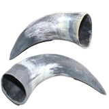 2 Small Unfinished Cow Horns #967    Natural Colored