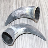 2 Small Unfinished Cow Horns #967    Natural Colored