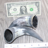 2 Small Unfinished Cow Horns #967    Natural Colored