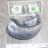 2 Small Unfinished Cow Horns #967    Natural Colored