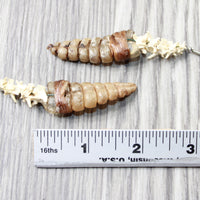 Rattlesnake Rattle Plus Vertebrae Earrings  #4858  Mountain Man Earrings
