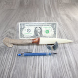 Deer Antler Handle Bone Blade Ornamental Knife #32067    Mountain Man Knife
