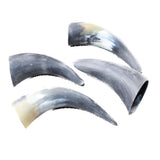 4 Small Raw Unfinished Cow Horns #9858   Natural Colored