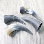 4 Small Raw Unfinished Cow Horns #9858   Natural Colored
